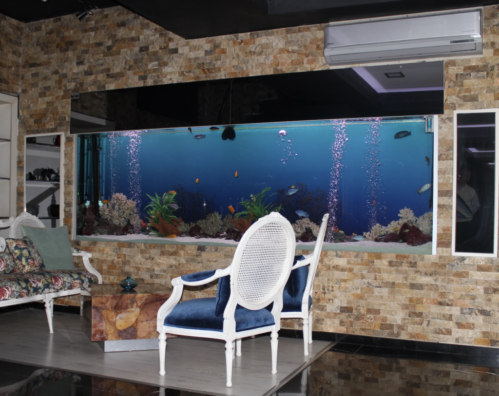 büyük deniz akvaryumu