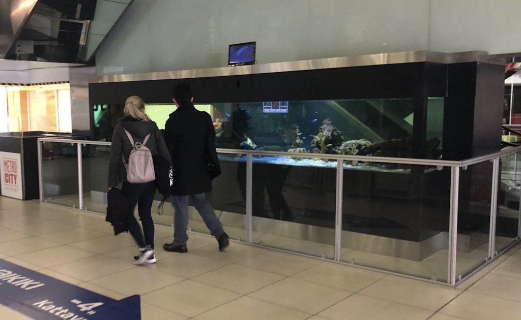 deniz akvaryum kurulumu