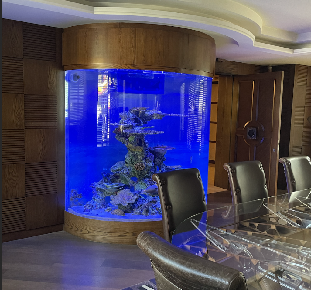 deniz akvaryum modelleri